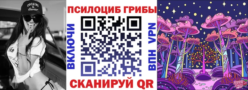 ОМГ ОМГ ССЫЛКА  где можно купить наркотик  Няндома  Псилоцибиновые грибы Magic Shrooms 